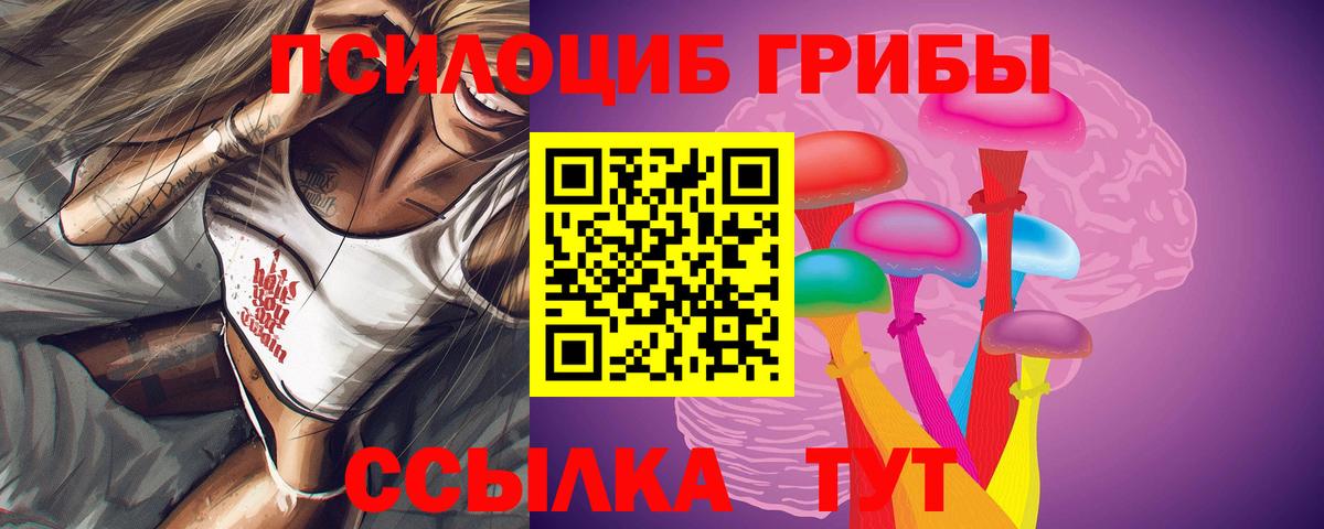 Кимры  Галлюциногенные грибы MAGIC MUSHROOMS  Вход с VPN  Псилоцибиновые грибы GOLDEN TEACHER 